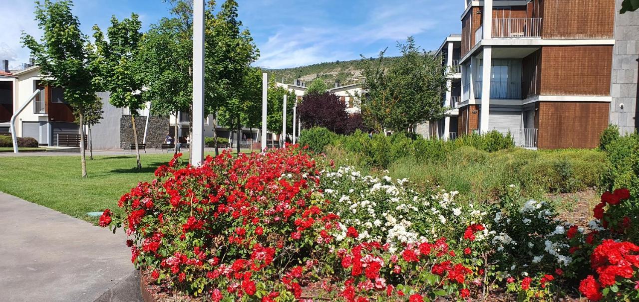 Apartamento Pirineo De Huesca, Jaca, Formigal, Panticosa Sabiñánigo エクステリア 写真